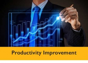 Productivity Improvement Program