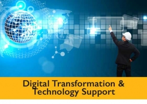 Digital transformation and technology support Program
