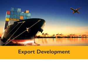 Export Development Program