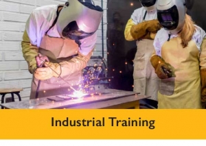 Industrial Training Component Program