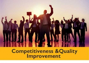 Program for Increasing Competitiveness