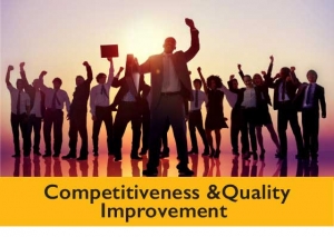 Program for Increasing Competitiveness