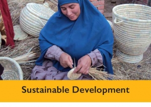 Sustainable Development Program