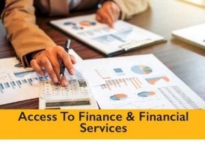 Access to Finance and Financial Services