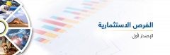 الفرص الإستثمارية