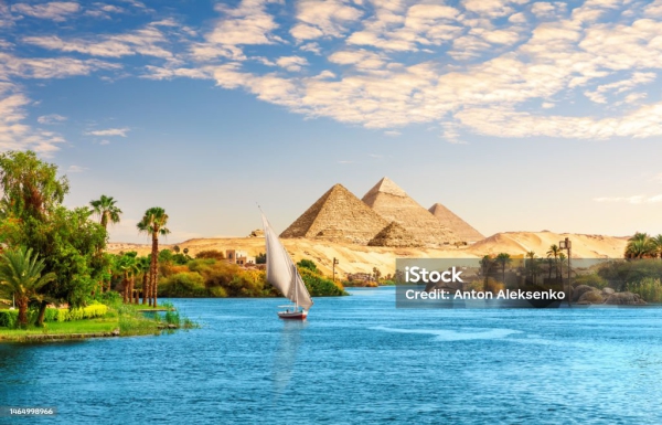 مشروع المتحف المصرى الكبير