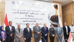 برنامج التنمية المحلية بصعيد مصر للنهوض بصناعات الصعيد المصري