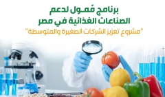   (جي اي زد) مصر ومركز تحديث الصناعة IMC يطلقان مشروع "تعزيز الشركات الصغيرة والمتوسطة" في قطاعي الأغذية والتصنيع الزراعي.