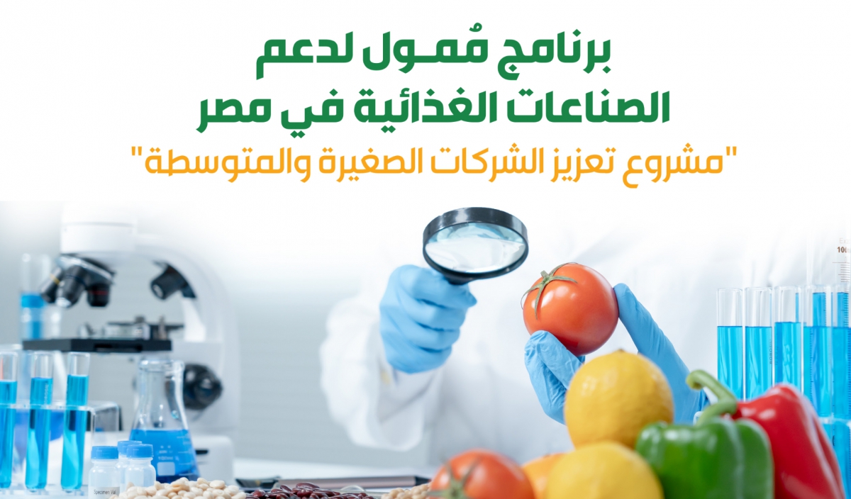  الوكالة الألمانية للتعاون الدولي (جي اي زد) مصر ومركز تحديث الصناعة IMC يطلقان مشروع &quot;تعزيز الشركات الصغيرة والمتوسطة&quot; في قطاعي الأغذية والتصنيع الزراعي.