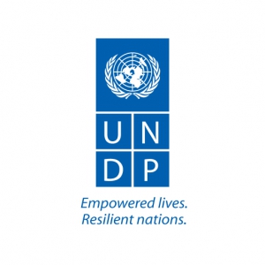 undp