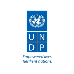 undp