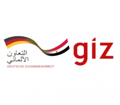 giz