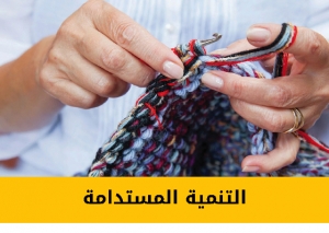 برنامج التنمية المستدامة
